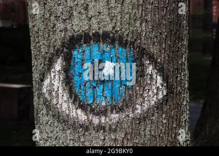 The eyes of the forest look at people. Painted on the tree is a blue eye. Protection of environmental fate Stock Photo