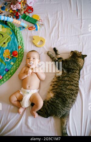 Baby in diapers lies on the bed next to a huge tabby cat Stock Photo