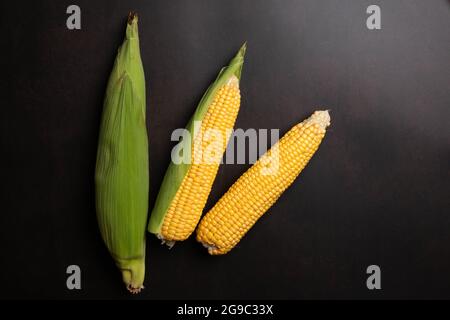 Fresh corn cobs on flat black background Stock Photo