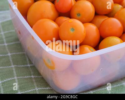 Orange cherry tomatoes in a plastic box. Close up. Stock Photo