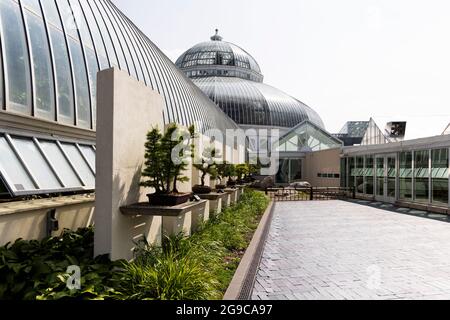 The Ordway Gardens bonsai exhibit at the Marjorie McNeely Conservatory at Como Park in Saint Paul, Minnesota, USA. Stock Photo