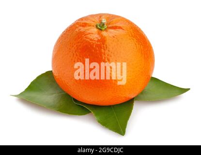 tangerine path isolated on white Stock Photo