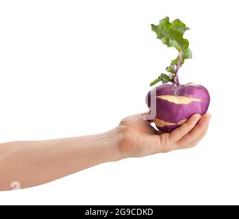 kohlrabi in hand path isolated on white Stock Photo