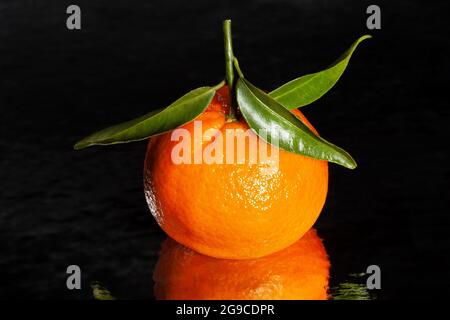 mirrored tangerine on black background Stock Photo