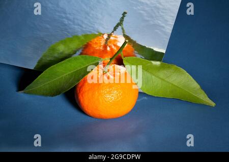 mirrored tangerine on blue background Stock Photo