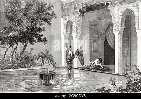 Women of the harem, Morocco, Maghreb. North Africa. Old 19th century engraved illustration from El Mundo Ilustrado 1879 Stock Photo