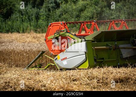 Landwirtschaft, Getreideernte, Weizen, Mähdrescher bei der Ernte auf einem Weizenfeld, bei Niederkrüchten, NRW, Deutschland, Stock Photo