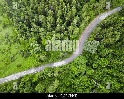 Bird's eye view of road running through beautiful green pine woods Stock Photo