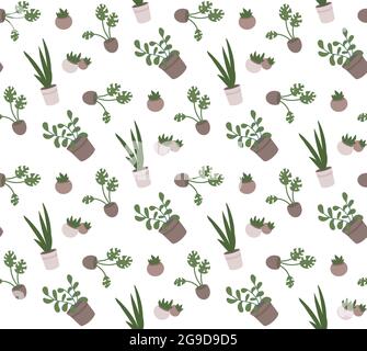 Indoor plants: succulents, sansevieria, monstera, ficus. Potted greens and flower pots. Vector winter garden seamless pattern. Print for textiles. eco packaging, background, wallpaper Stock Vector