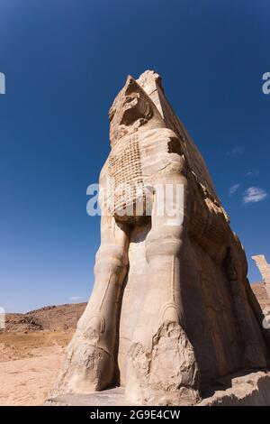 Persepolis, bull statues, gate of all nations, gate of Xerxes, capital of Achaemenid empire, Fars Province, Iran, Persia, Western Asia, Asia Stock Photo