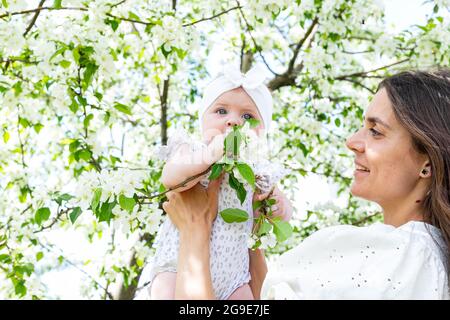 Happy and friendly young family. Beautiful female with little cute and pretty baby. Attractive woman is holding her small daughter. Horizontal shot. A Stock Photo