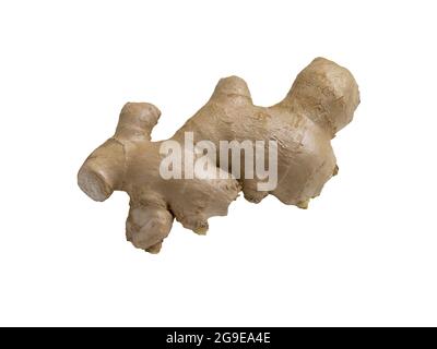 one ginger isolated on white background Stock Photo