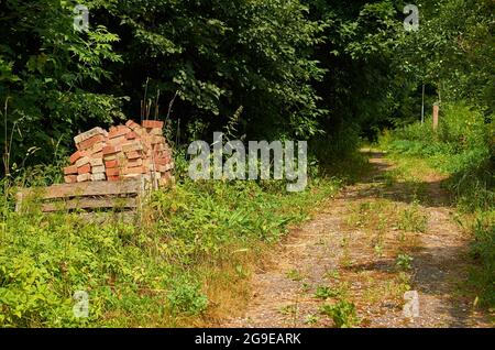 Old bricks are stacked in the grass on the side of a dirt road.  Stock Photo