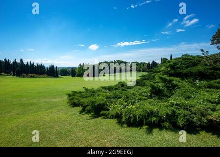 Landscape view of a large garden with manicured lush green lawn and ornamental Japanese Maple foliage trees in the foreground and a view to cypresses Stock Photo
