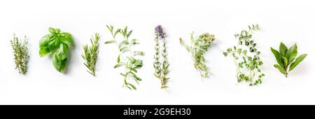 Herbes de Provence, French aromatic herbs panorama, overhead flat lay shot on a white background Stock Photo