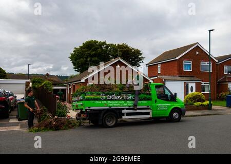 Professional gardener and tree surgeons clearing away clippings after trimming and reshaping trees and bushes in a garden in Yorkshire in spring Stock Photo