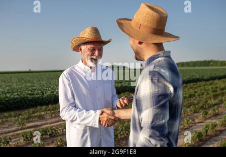 Young male farmer standing in field greeting researcher biologist. Elderly scientist holding soil sample in petri dish smiling. Stock Photo