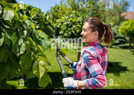 Young gardener working in yard trimming tree using shears. Attractive girl smiling gardening in summertime. Stock Photo