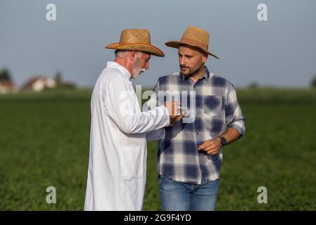 Young male farmer standing in field discussing land quality. Elderly researcher agronomist wearing lab coat holding petri dish with soil sample showin Stock Photo