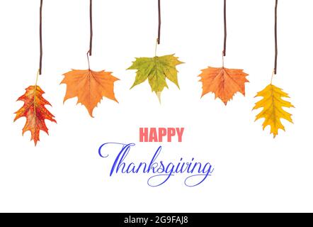 Happy thanksgiving and leaves hanging on tree branch Stock Photo