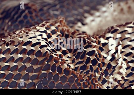 Abstract background with perforated wrapping paper Stock Photo