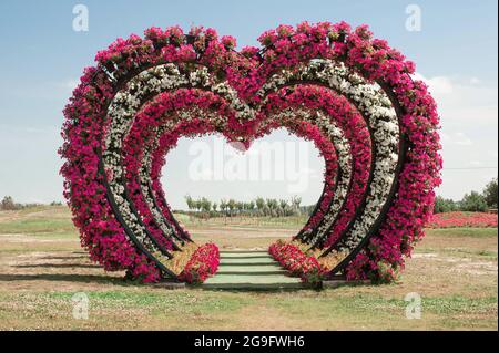 Large decorative wedding arches made in form of heart of flowers love in field for visiting wedding ceremony Stock Photo