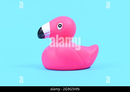 Single pink rubber duck flamingos on blue background Stock Photo