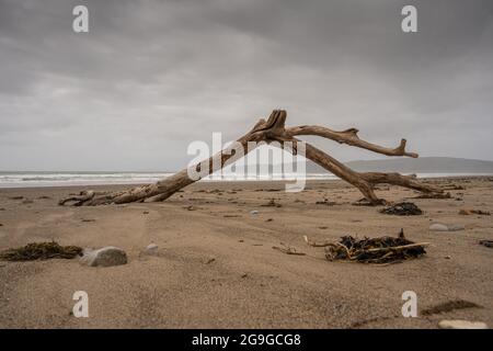 The beach at Porth Neigwl also known as Hells Mouth on the Llyn Peninsular in Gwynedd north Wales Stock Photo