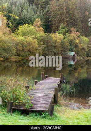 Autumn colour behind the boat house at Milton Basin on Loch Ard. Stock Photo