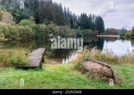 Autumn colour behind the boat house at Milton Basin on Loch Ard. Stock Photo