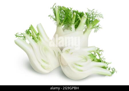 fresh fennel bulb isolated on white background with clipping path and full depth of field Stock Photo
