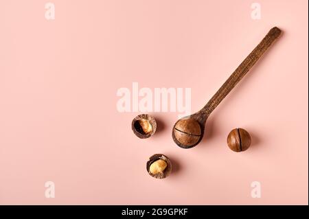 Macadamia nut in wooden spoon on pink powdery background. Top view, copy space Stock Photo