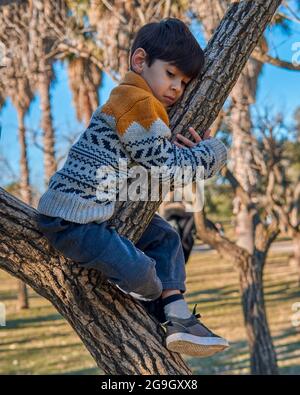 Worried latin boy in the park climbing a tree hugging a branch. Vertical and blurred background Stock Photo