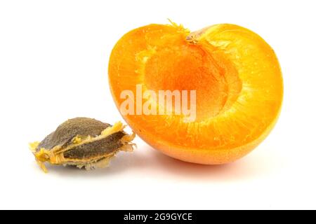 Half of apricot and stone isolated on white background close up Stock Photo