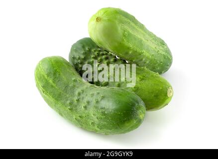 Three fresh cucumbers isolated on white background Stock Photo