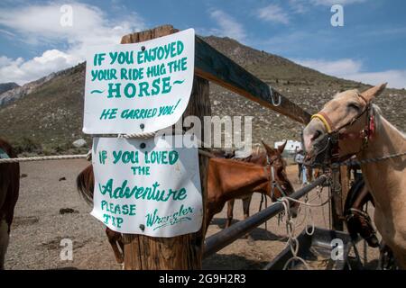 You can ride a horse at the pack station by Convict Lake in Mono County, CA, USA, which gives you wonderful views of the mountains. Stock Photo