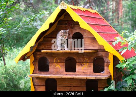 a wooden house for homeless cats stands in the park among the trees Stock Photo
