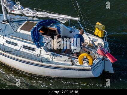 man helming steering driving a large racing yacht in the cockpit in the summer entering a marina. Stock Photo