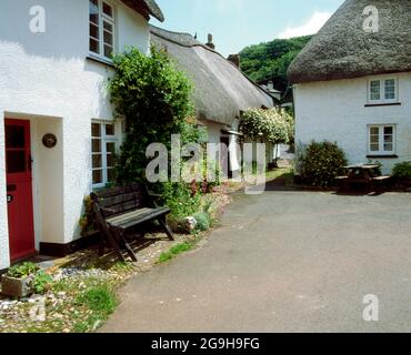 Thatched Cottages, Inner Hope, South Hams, Devon. Stock Photo