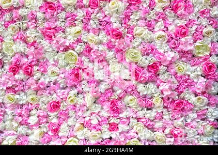 Wall of fake pink and white rose flowers made from cloth Stock Photo