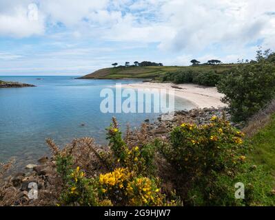 Toll's Island, Isles of Scilly, GB, United Kingdom, England, N 49 55 ...