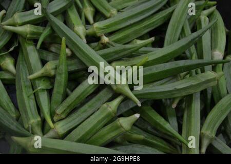 Fresh green Okras (Ladies' Fingers) fruits for sale on display at local farmers market. Background of green Okras. Stock Photo