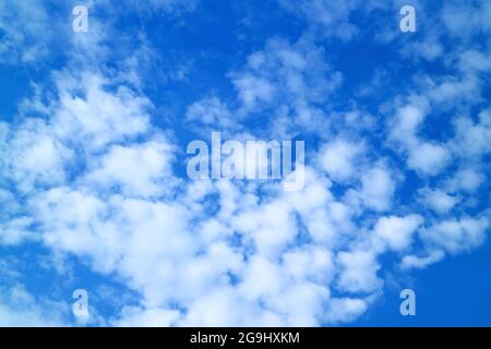 Pure White Altocumulus Clouds Scattered on Bright Blue Sky Stock Photo