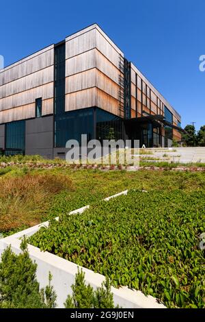 Seattle - July 25, 2021; The Burke Museum on the grounds of the University of Washington in Seattle. The Southern Pine cladding is slowly weathering. Stock Photo