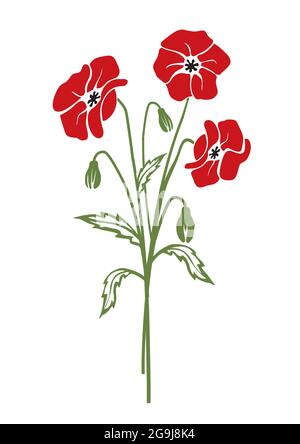Red Poppy flowers, colorful silhouette. Stylized colorful Illustration of summer flower motive. Isolated on white background. Vector available. Stock Vector