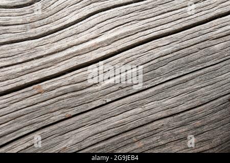 Wood grain of an oald log Stock Photo