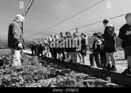 JOHANNESBURG, SOUTH AFRICA - Jan 05, 2021: The school children learning about agriculture and farming Johannesburg, South Africa Stock Photo