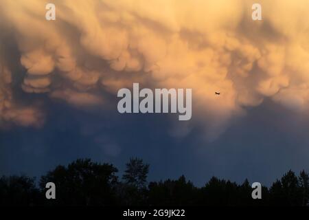 Airplane flying in sky through dramatic mammatus storm clouds over forest, Canada Stock Photo