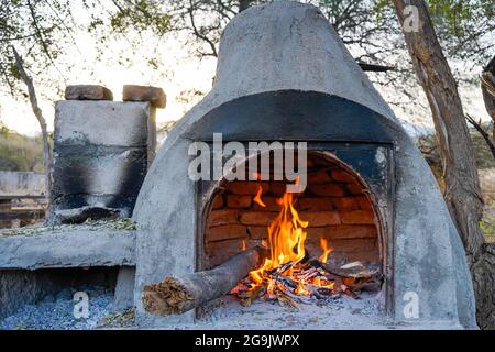 Bonfire. Fire wood burning in the oven Stock Photo