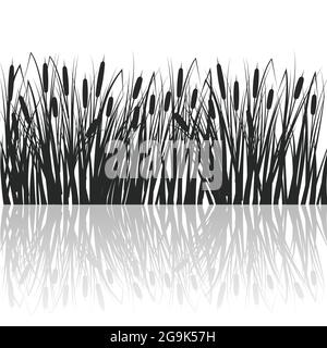 Silhouette of reeds and rushes in the green grass. Swamp and river plants with reflection in water. Vector flat illustration. Stock Vector